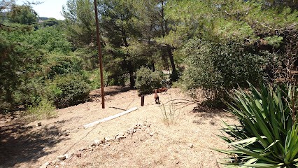 Cazzulo Jean-Christophe, Centre de Contrôle Technique Automobile à Roquevaire