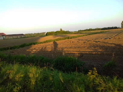 Dekra France Wambrechies, Centre de Contrôle Technique Automobile à Wambrechies