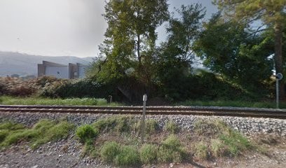 Auto Bilan France, Centre de Contrôle Technique Automobile à Lucciana