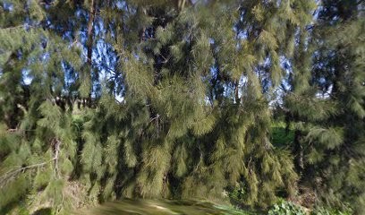 DEKRA PL, Centre de Contrôle Technique Automobile à Lucciana