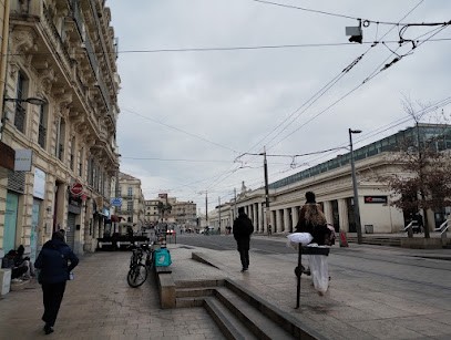 Contrôle Technique AUTOSUR Montpellier, Centre de Contrôle Technique Automobile à Montpellier