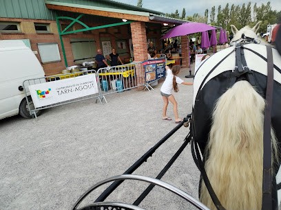CTA Saint Sulpice, Centre de Contrôle Technique Automobile à Saint-Sulpice-la-Pointe
